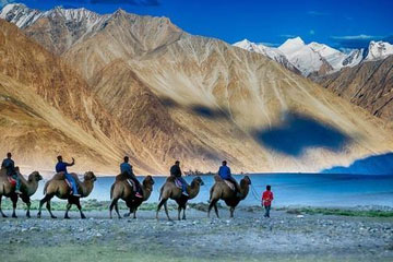 Chandigarh to Leh Taxi Service